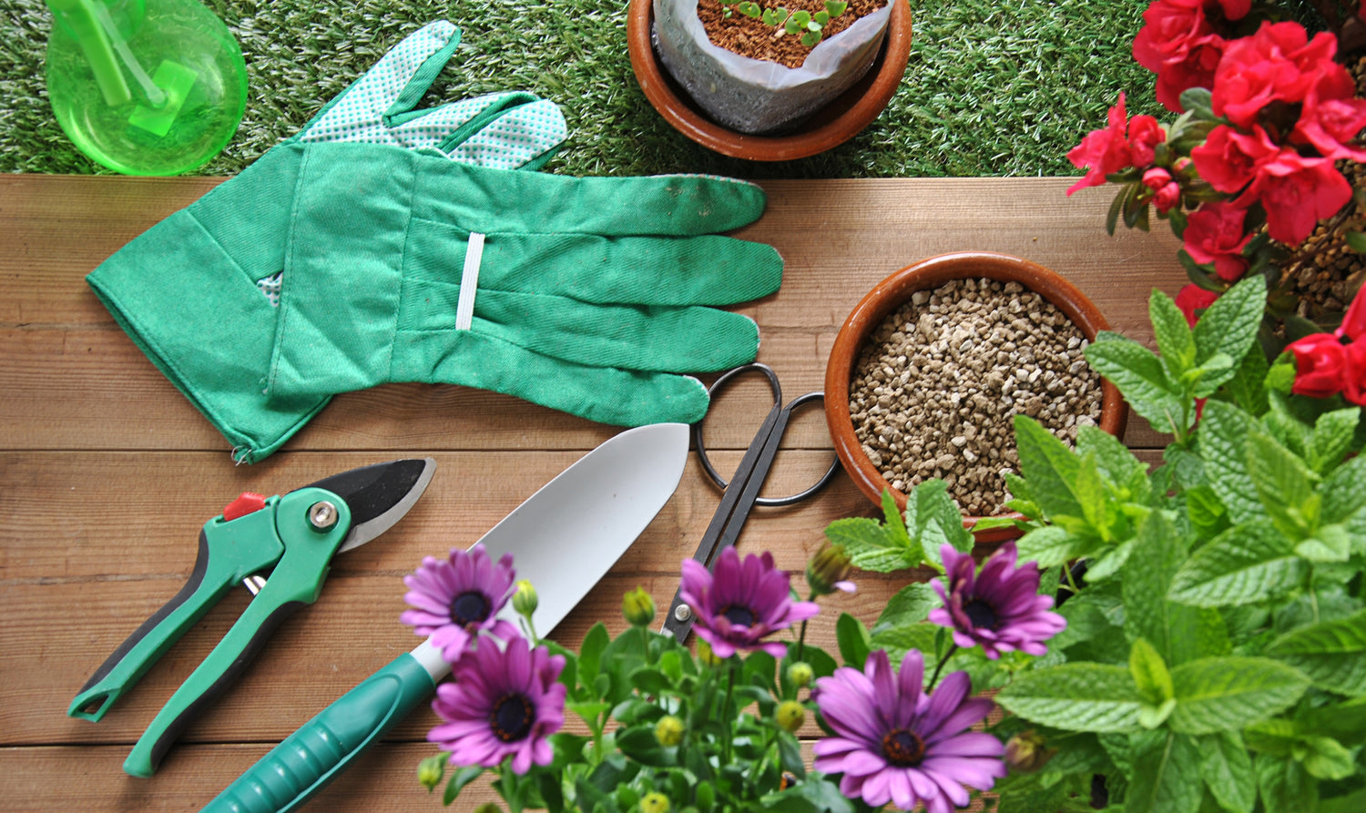 Green Grotto's Top Ten Gardening Tools: Cultivate Your Green Paradise with Ease