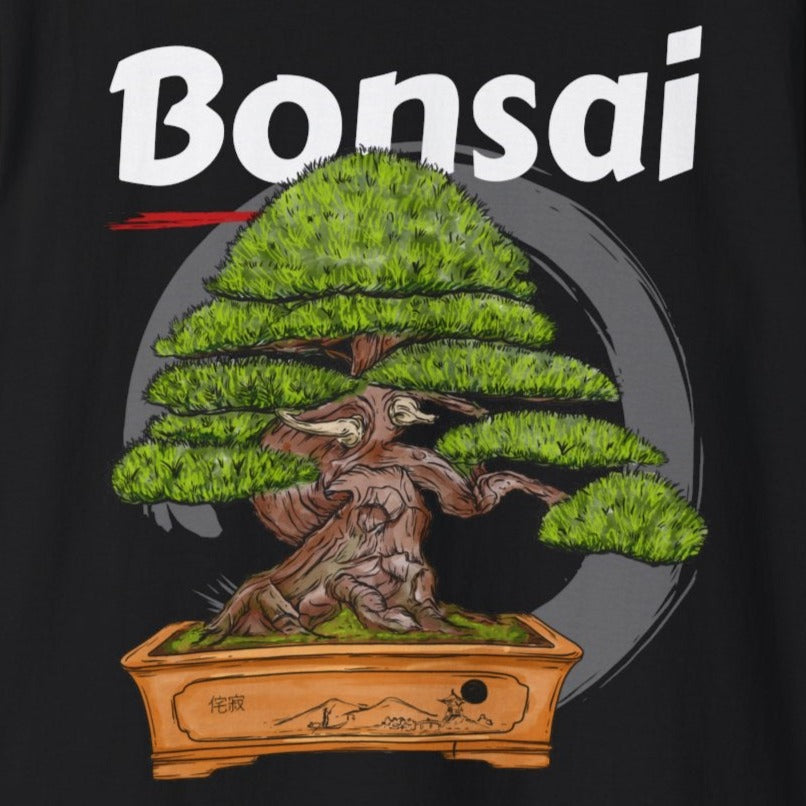 Japanese Black Pine Bonsai Tree - Green Grotto